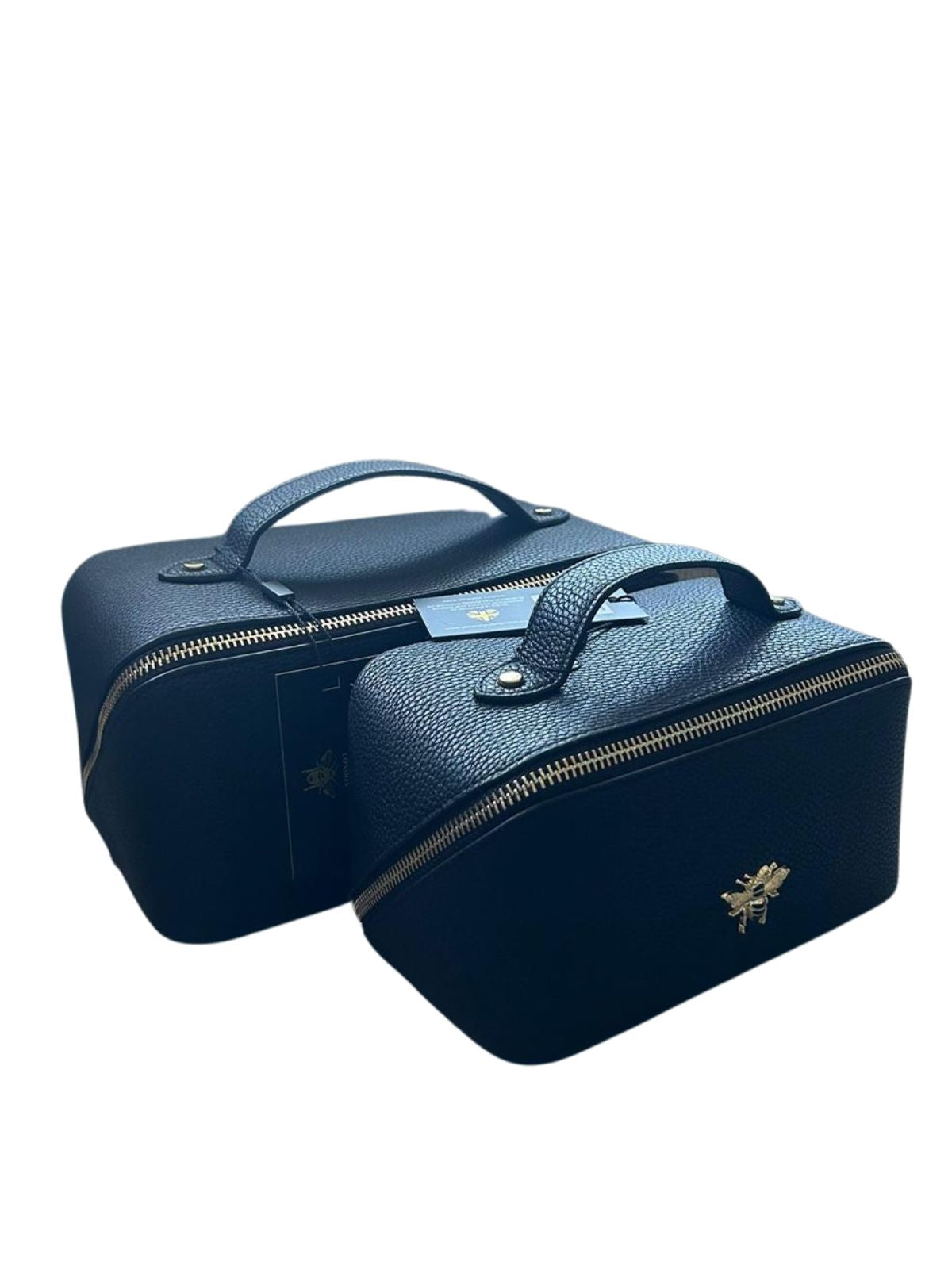 Alice Wheeler Train Case